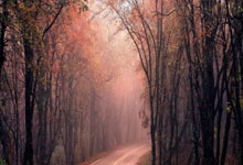 利物浦锋线火力全开，多人连续进球