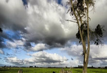 爱尔兰队硬碰硬抗击，重整旗鼓再迎未来挑战