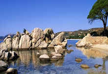 楚尔新星闪耀，多特蒙德胜云达不莱梅